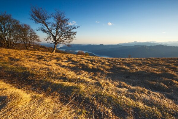 Schöne Natur vor dem Hintergrund des blauen Himmels