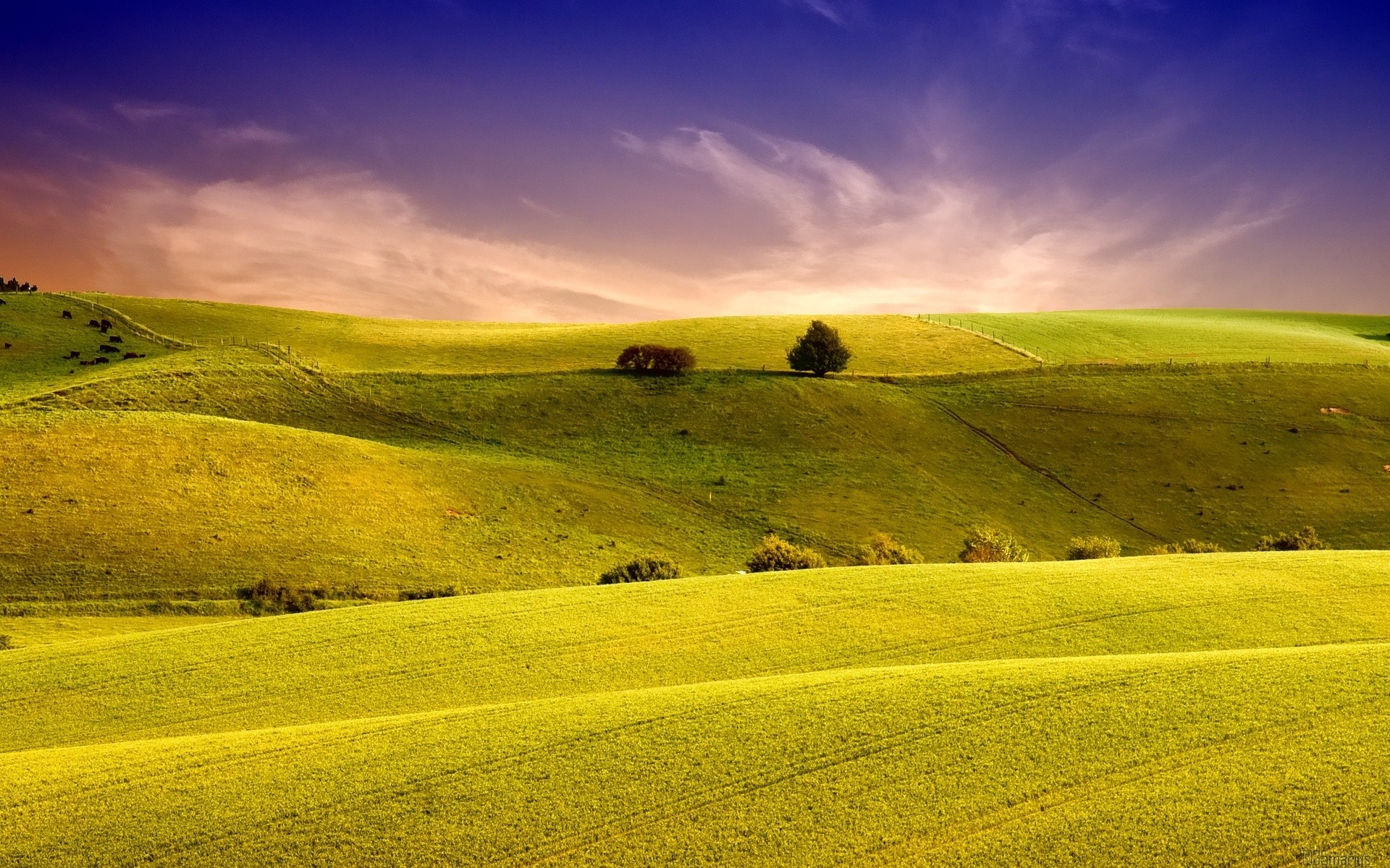 paisaje paisaje campo hierba naturaleza heno rural granja cielo campo agricultura verano país suelo nube pasto temporada sol flora tierras de cultivo color paisaje