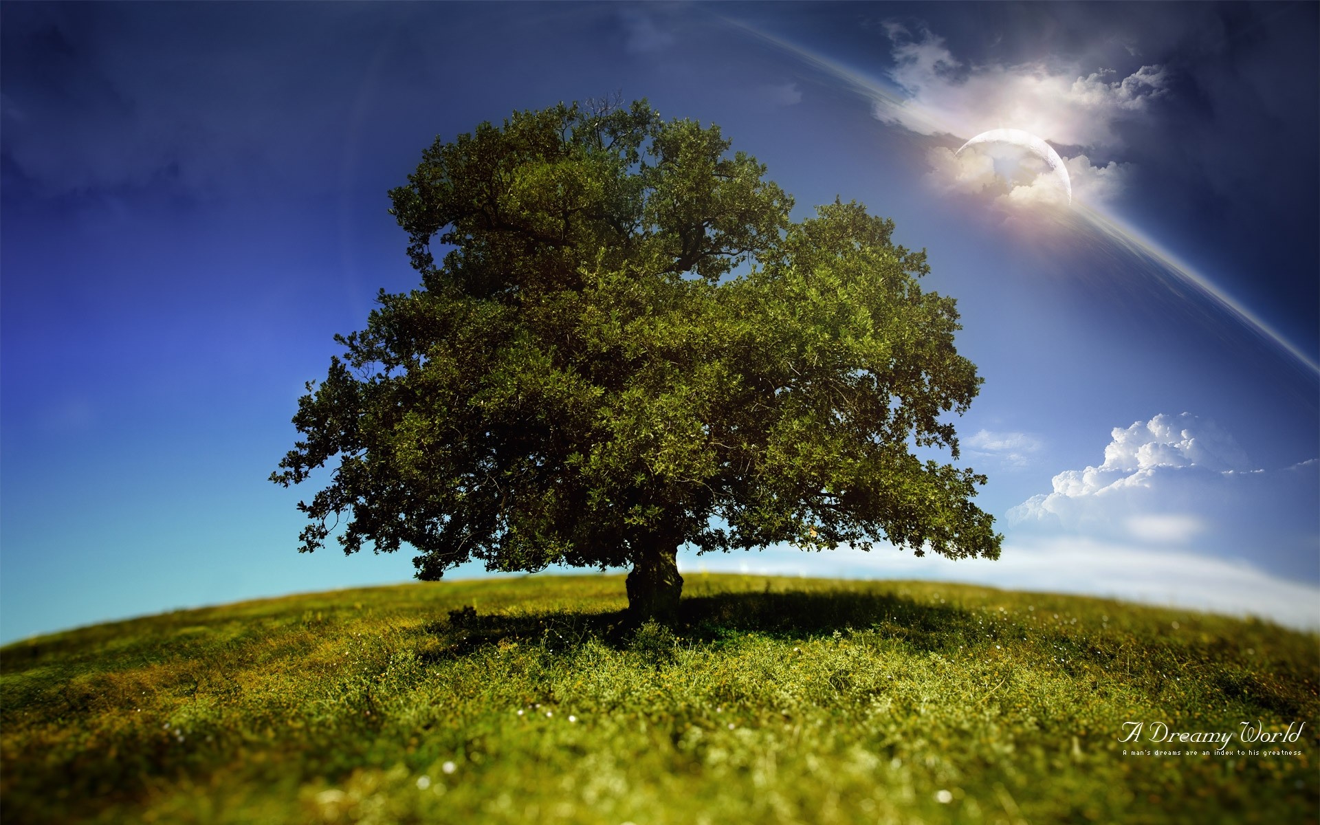 landschaft landschaft baum natur himmel gras heuhaufen sonne im freien landschaftlich schönes wetter holz landschaft umwelt feld dämmerung horizont ländlichen blickfang hügel