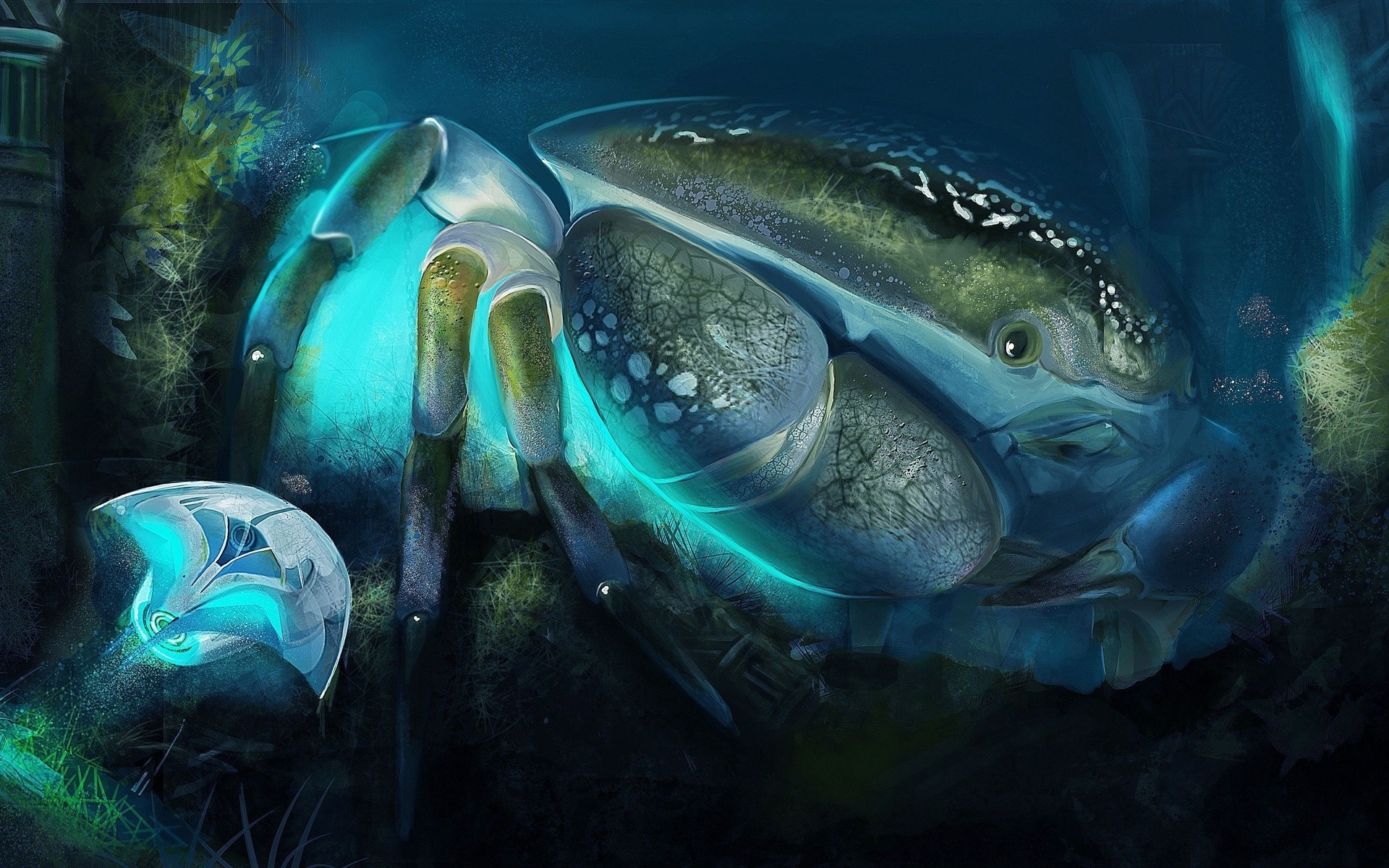 drawings underwater fish water nature digital art