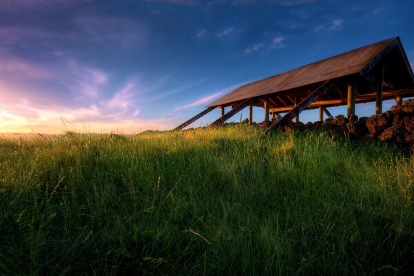 Lever du soleil dans un champ d herbe verte