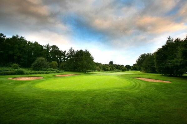 Erba luminosa, morbida e liscia sul campo da golf