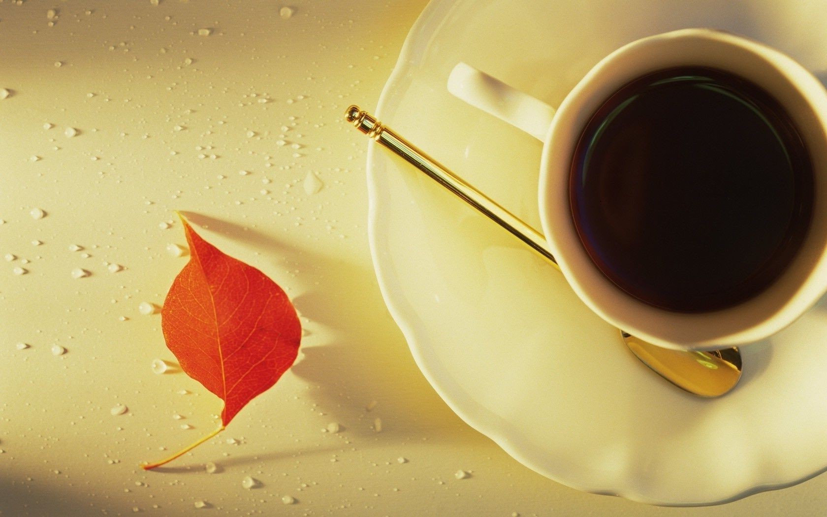coffee drink dawn cup hot caffeine liquid mug espresso saucer still life breakfast tea dark food color perfume