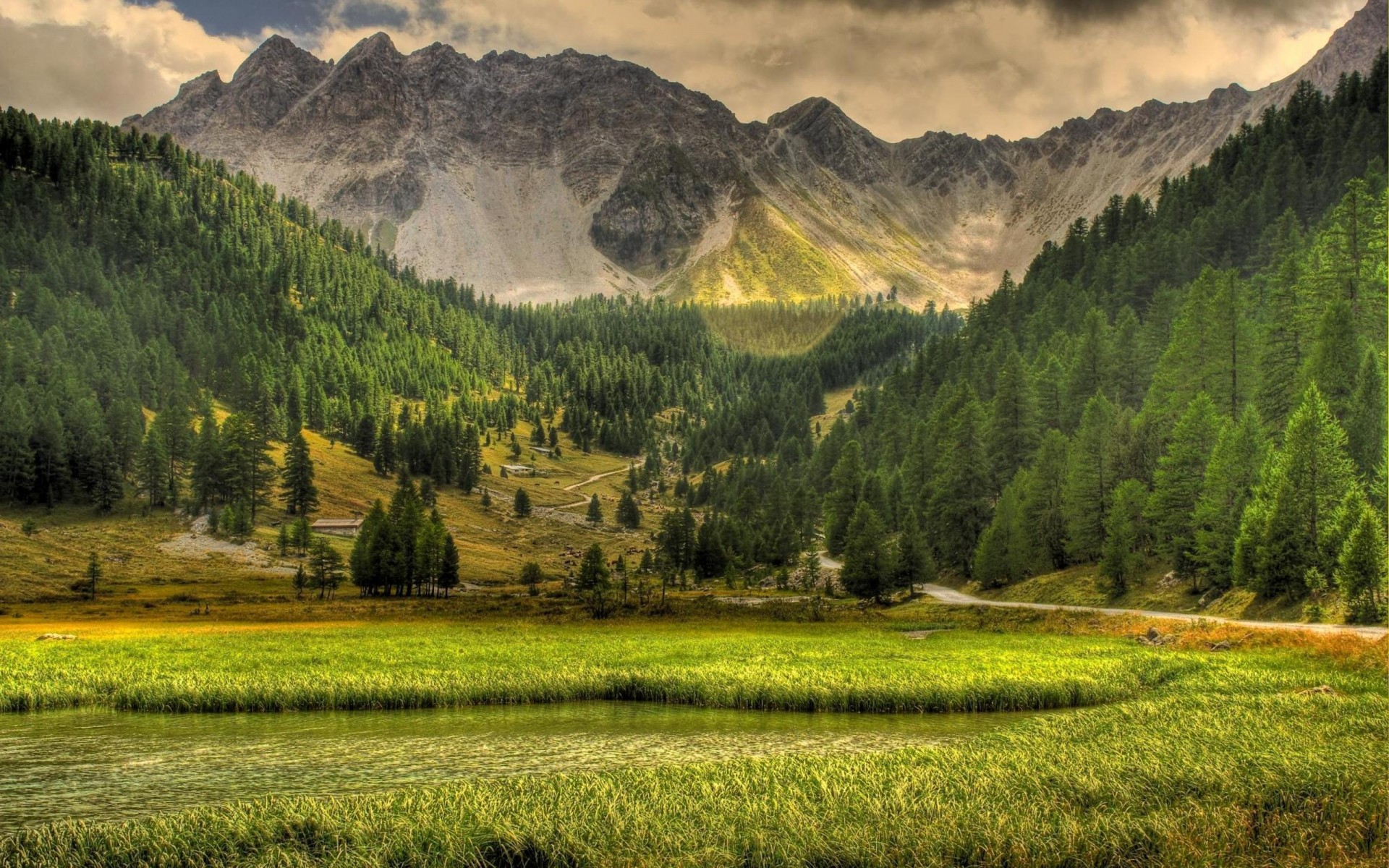 landscapes landscape mountain nature valley wood travel tree sky scenic outdoors hill summer grass scenery fall hayfield green trees forest