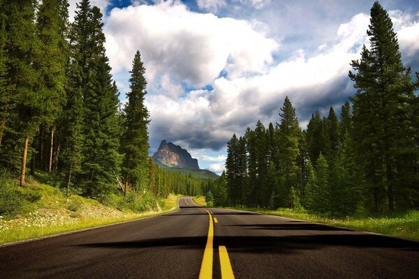 Vahşi Doğaya Giden yol