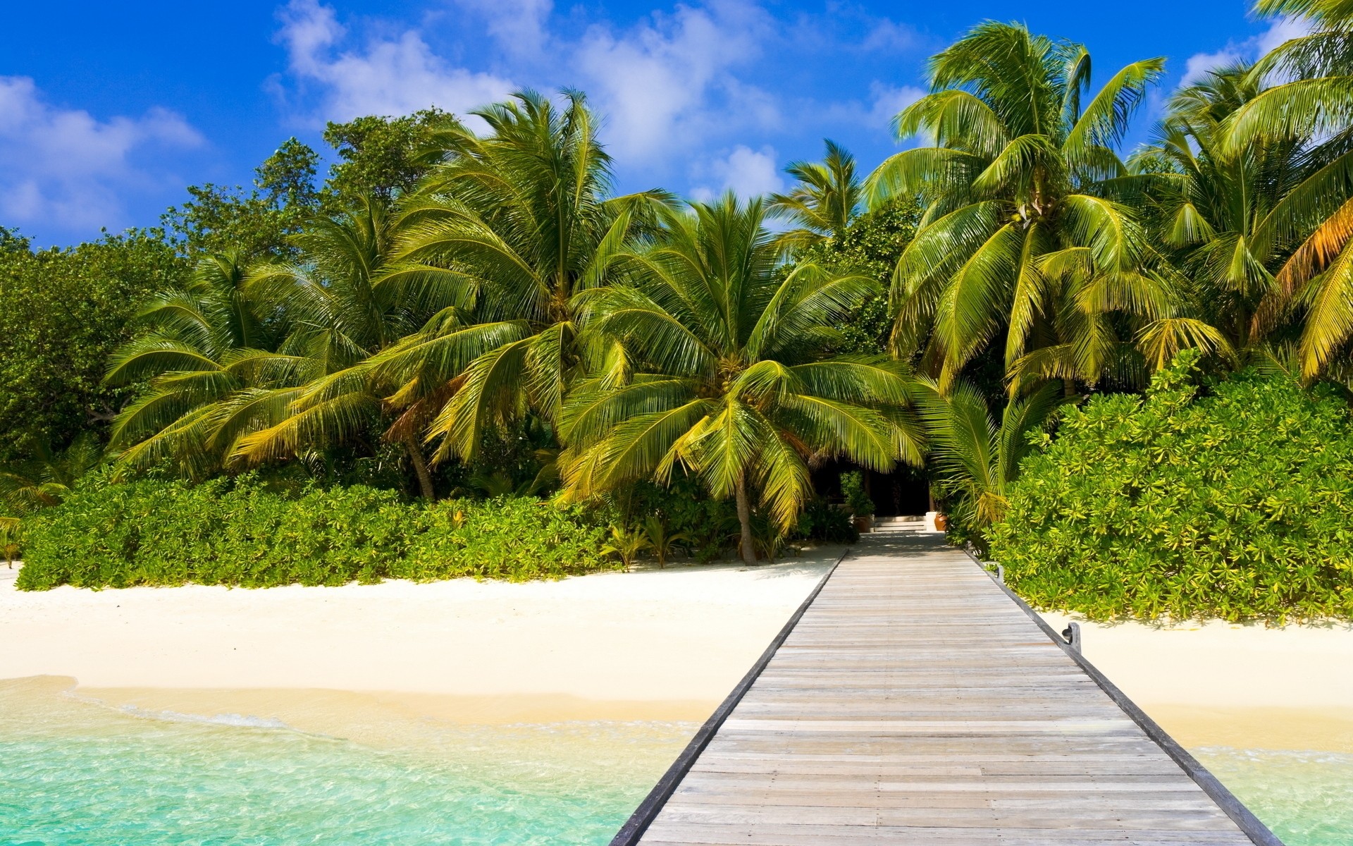 été tropical palmiers paradis plage station balnéaire noix de coco exotique idyllique détente île sable vacances soleil arbre lagon voyage mer turquoise paysage mer ciel plantes eau