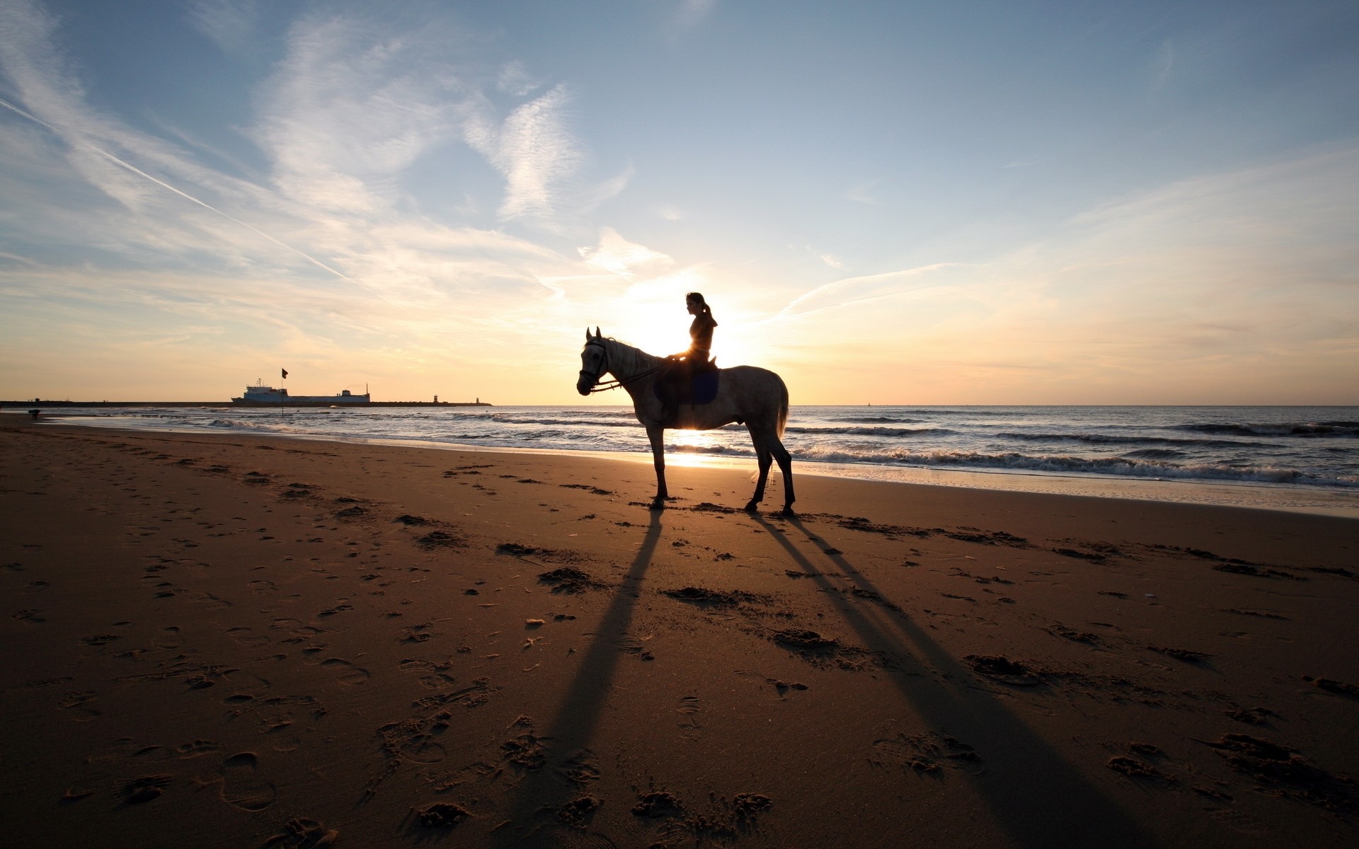 paysage plage sable coucher de soleil mer eau océan mer soleil aube voyage paysage surf soir ciel crépuscule été rétro-éclairé mare cheval