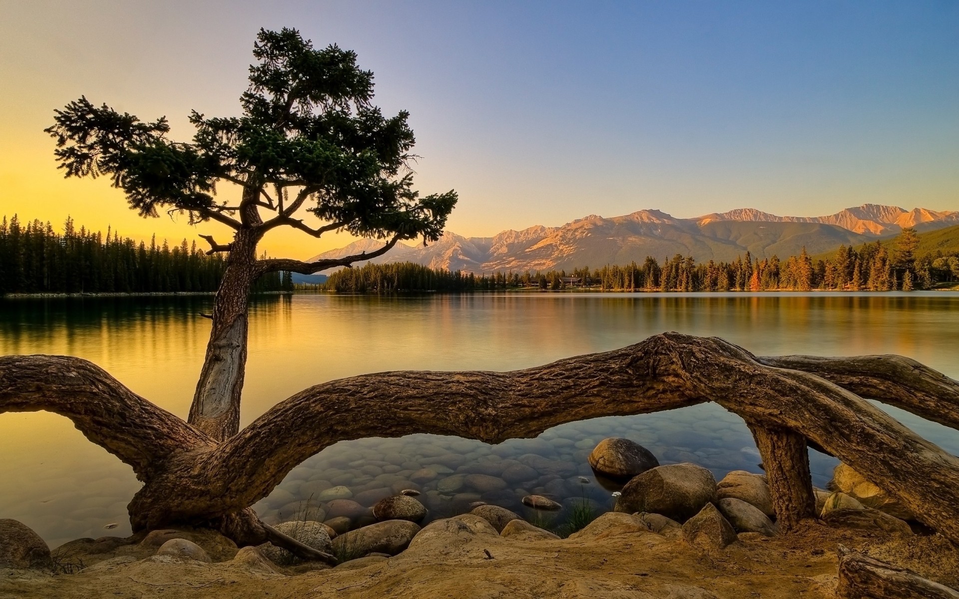 景观 水 湖 景观 倒影 树 日出 日落 自然 河 户外 天空 晚上 风景 旅游 山 山