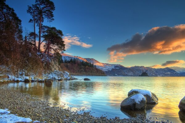 River bank and ancient pine trees