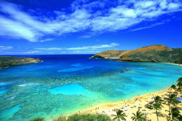 Plage tropicale en haute saison