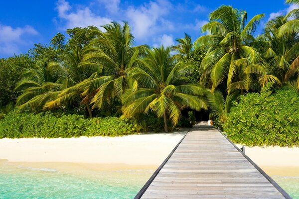 Paysage de plage paradisiaque tropicale