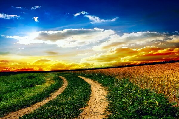 Landscape of a rural field with tire tracks