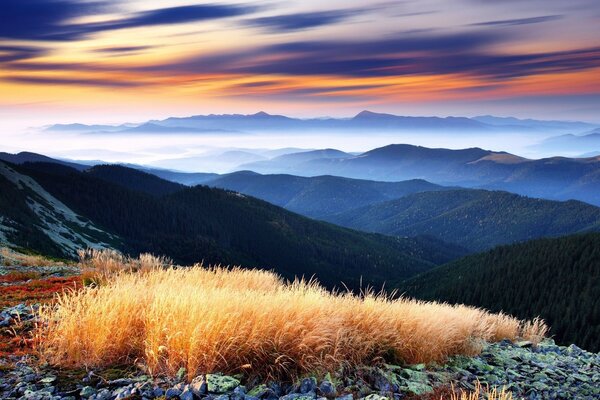 Sunrise in the mountains above the fog