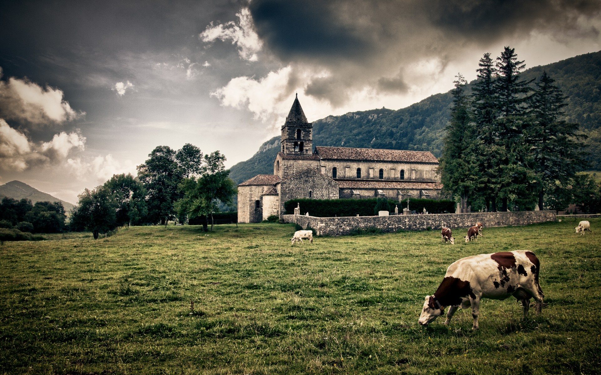 paesaggio agricoltura fattoria bestiame pastorale erba rurale campagna all aperto paesaggio animali vivi cielo fieno natura viaggi campo pecore mucca mammifero pascolo animali mucche drch