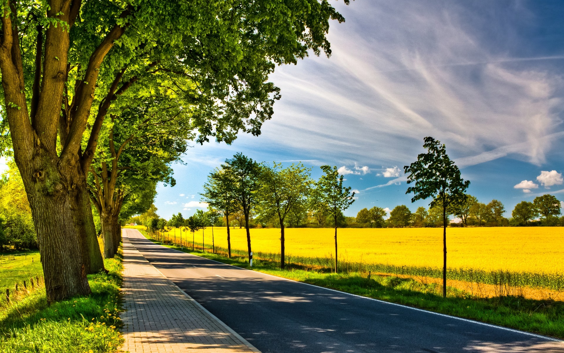 landschaft landschaft natur ländlichen baum straße landschaft gras sommer führer gutes wetter holz blatt sonne im freien land hell landschaftlich feld perspektive bäume pflanzen pfad