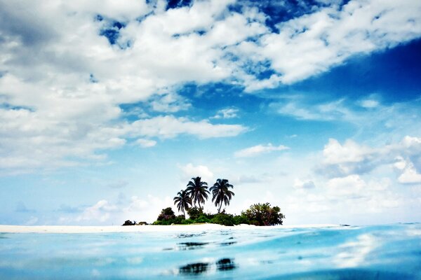 An island with palm trees in the ocean and a blue sky