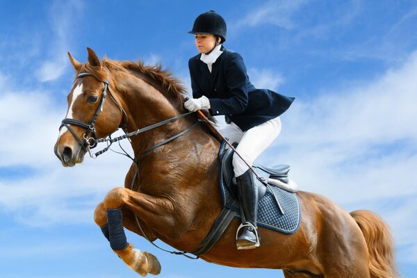 Equestrian outdoor sports