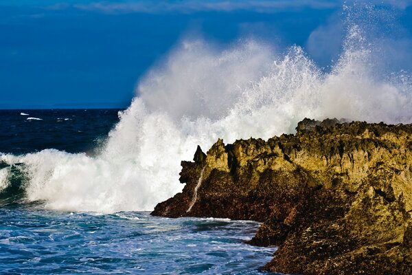 The mighty force of nature in action