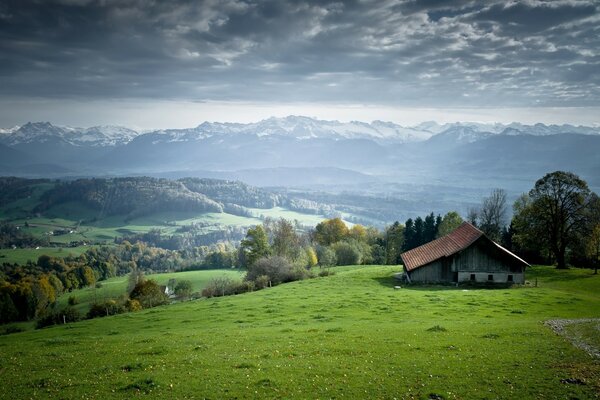 Cabane solitaire sur la plaine verte