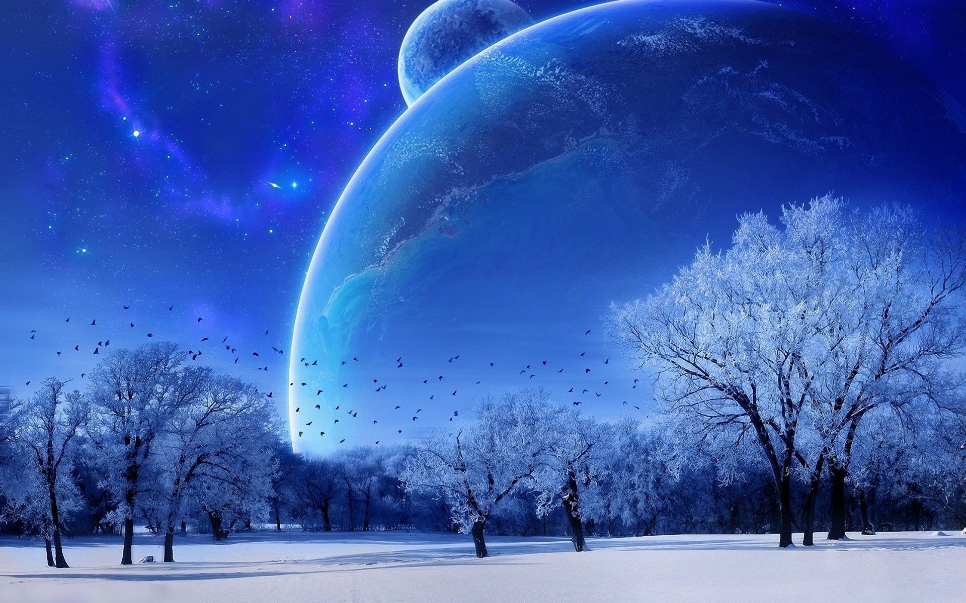 space winter snow weather landscape cold nature tree light sky bright