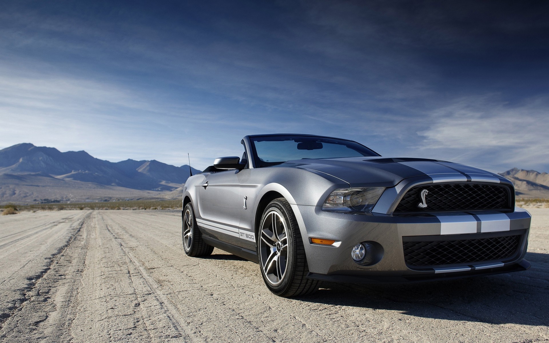 ford carro carro sistema de transporte asfalto meio-dia preto rodas calçada rápido drive automotivo shelby