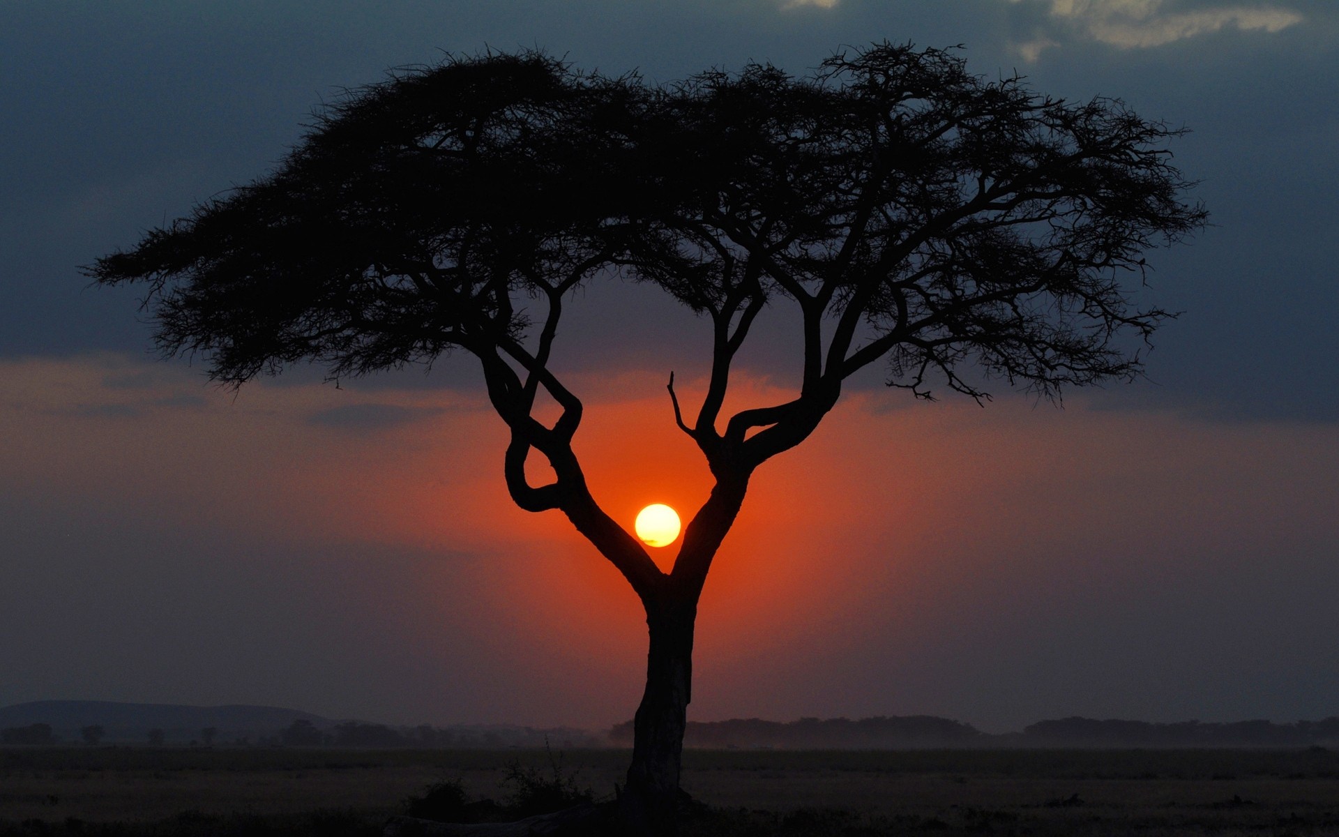 paysage coucher de soleil arbre aube paysage soir silhouette ciel rétro-éclairé soleil nature crépuscule à l extérieur vue paysage