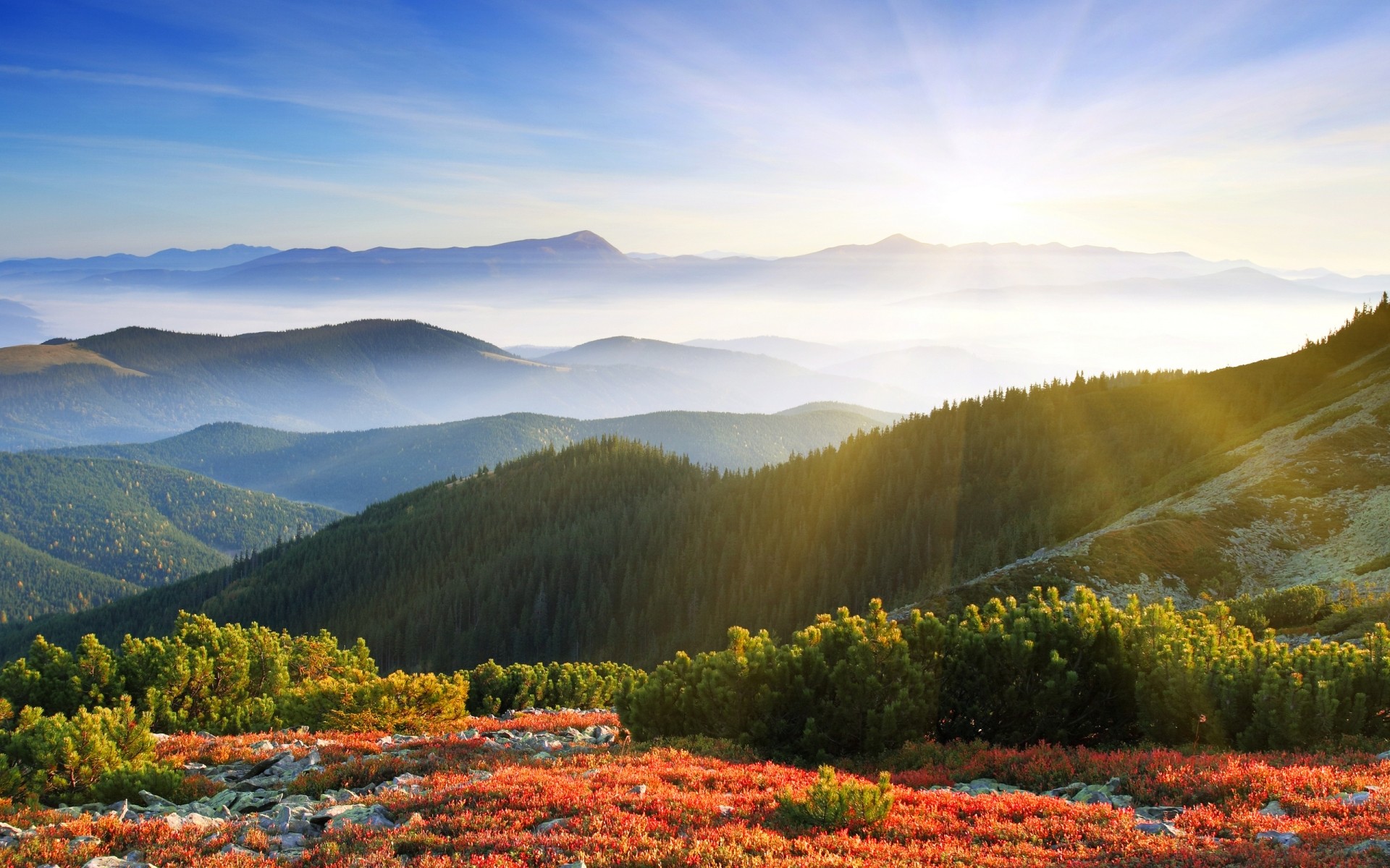 paysage paysage à l extérieur la nature voyage montagnes ciel scénique arbre automne lumière du jour terres cultivées campagne fleur arbres plantes montagnes