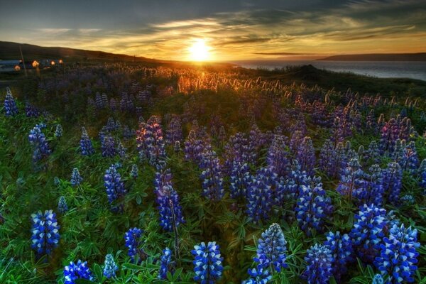 O sol se põe além das montanhas