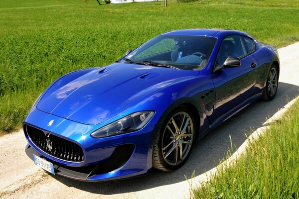 Blue Maserati on the field background