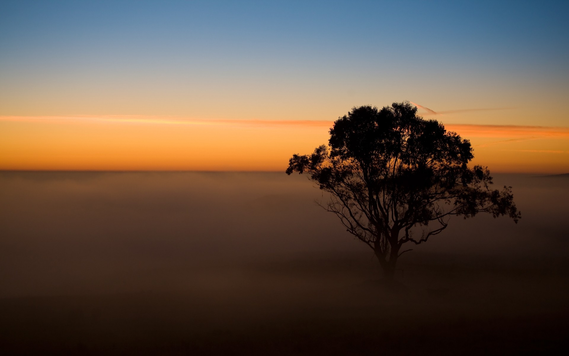 landscapes sunset dawn sun evening dusk backlit sky landscape water silhouette nature beach tree sea fair weather fog light ocean mist