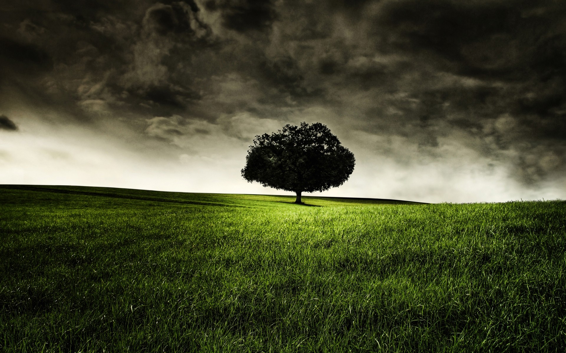 landscapes landscape grass storm sky tree nature weather field rain countryside dawn cloudy cloud fog hayfield soil dark view hdr