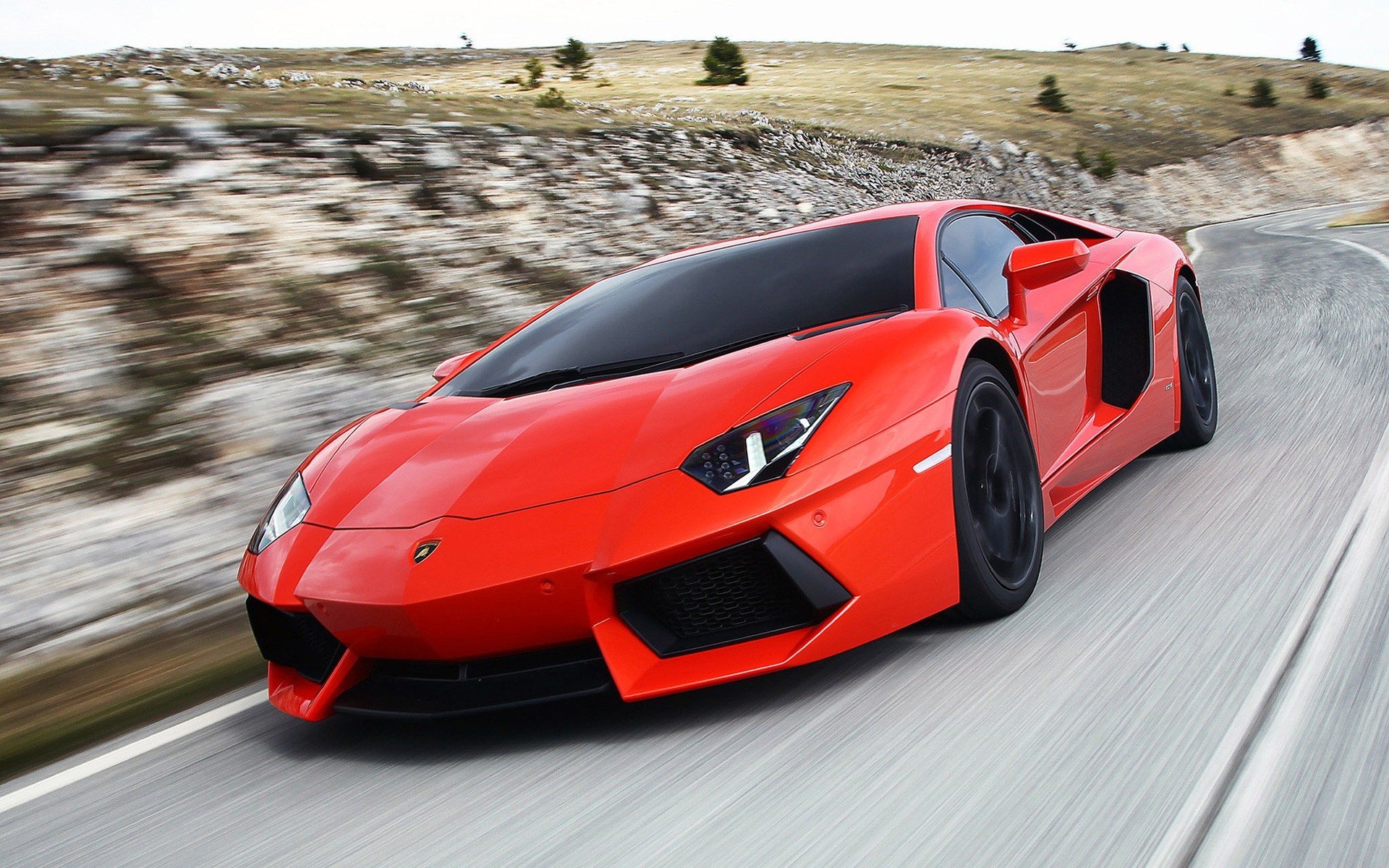 Picture of lambo