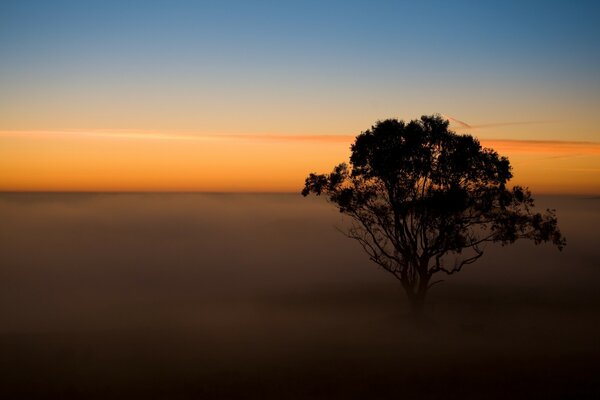 Colorido atardecer en un campo de niebla