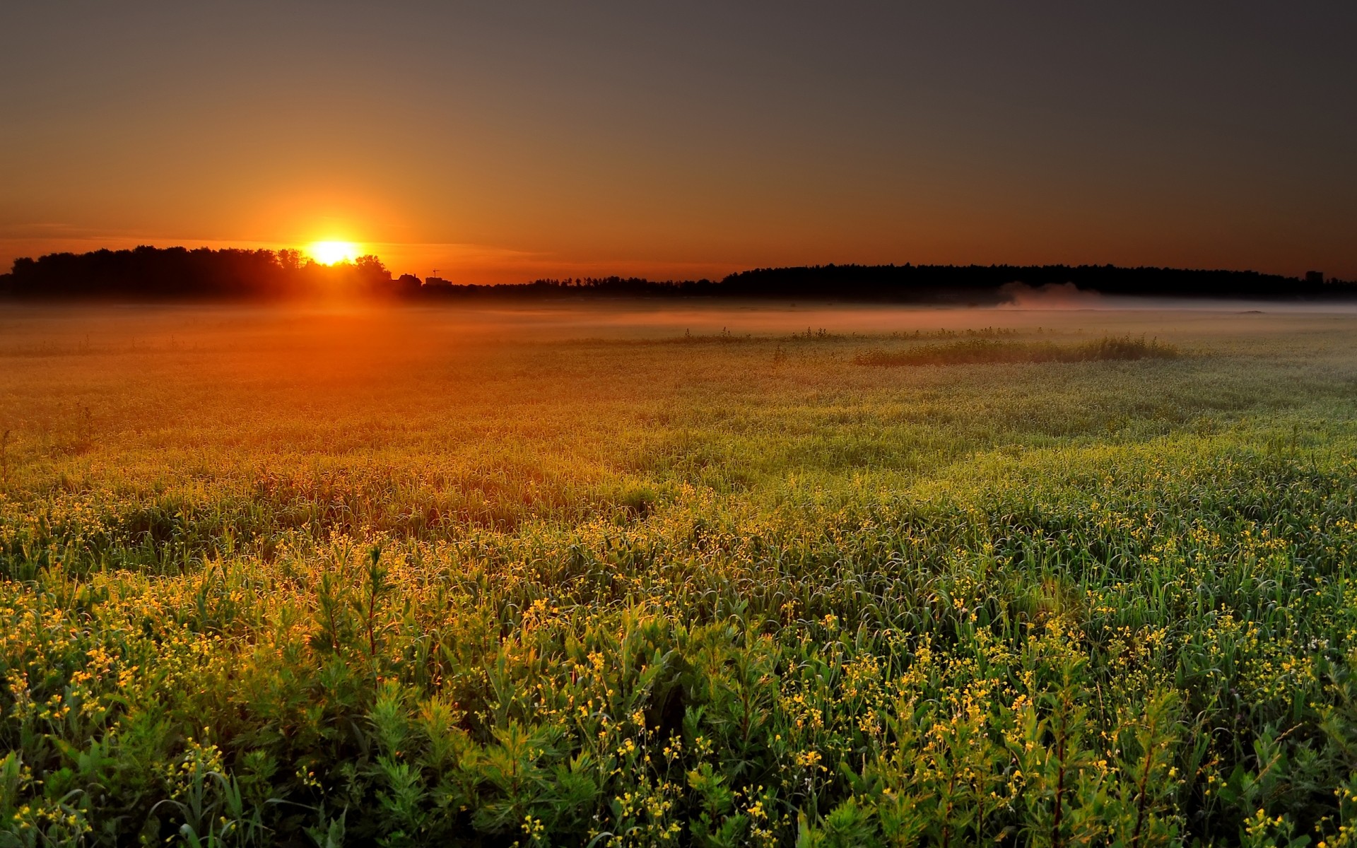 landschaften sonnenuntergang dämmerung landschaft sonne natur himmel dämmerung abend gutes wetter sommer im freien landschaften pflanzen