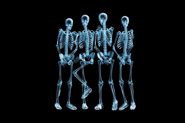 Four skeletons made through X-ray