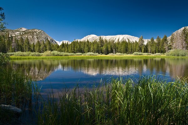 Lake on the background of mountains