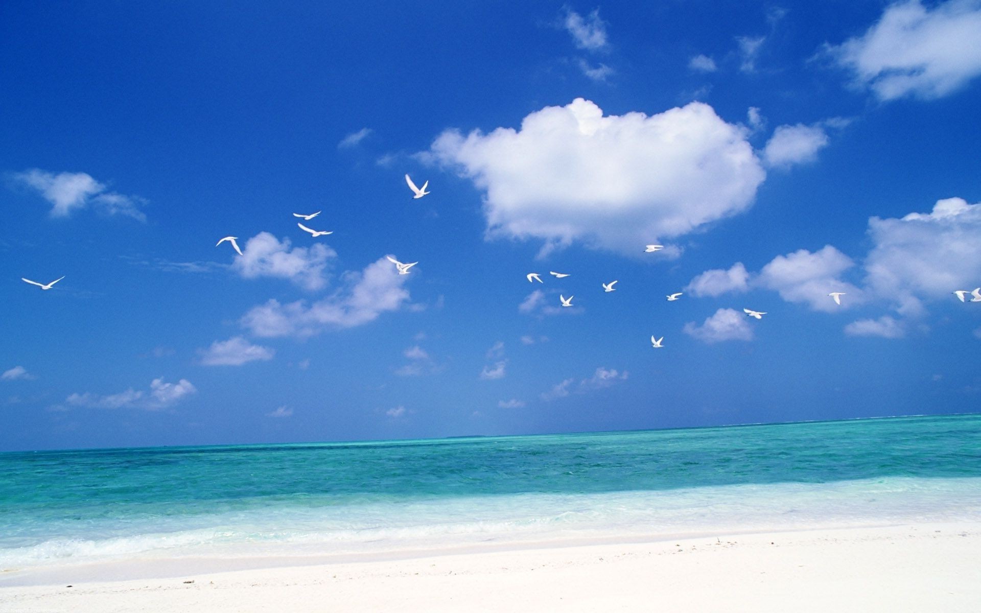 mer et océan été sable eau soleil beau temps nature plage tropical idylle océan ciel mer voyage détente pittoresque île chaud paix vacances