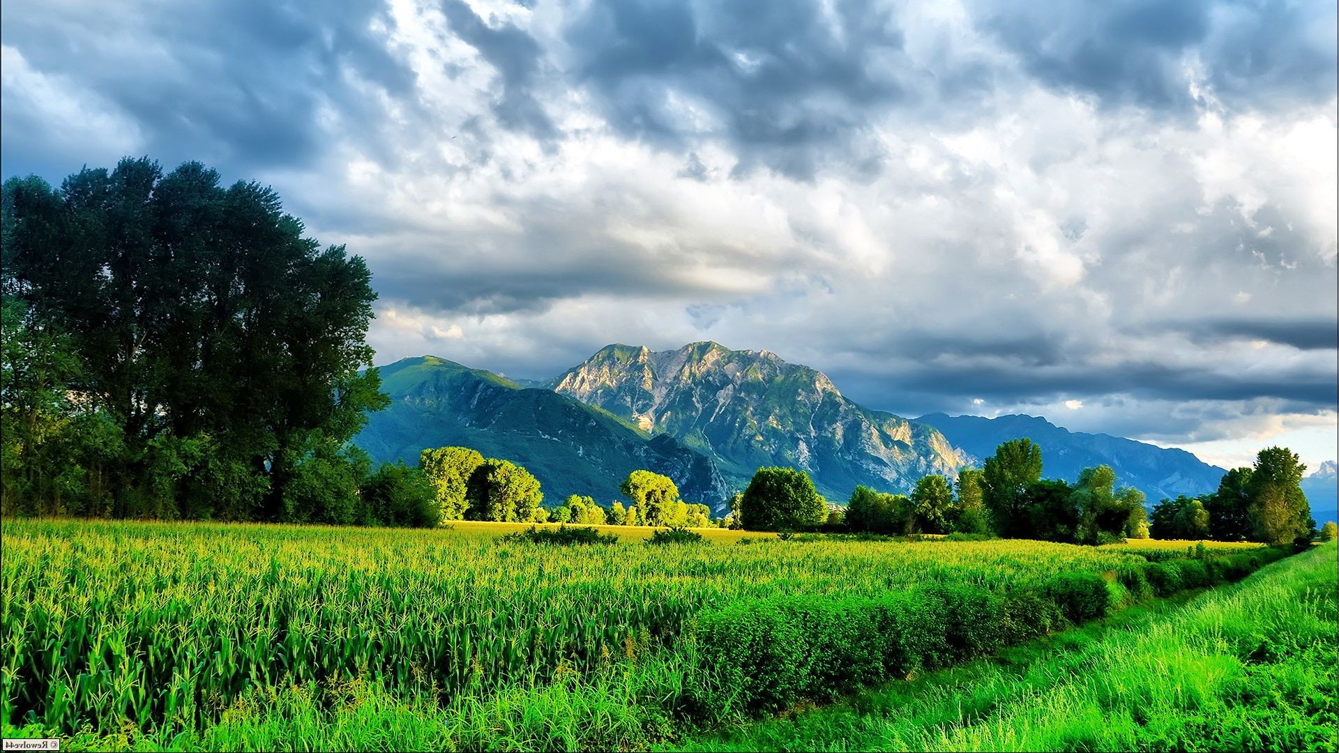 campi prati e valli natura paesaggio rurale estate campagna cielo all aperto agricoltura albero erba bel tempo campo viaggi