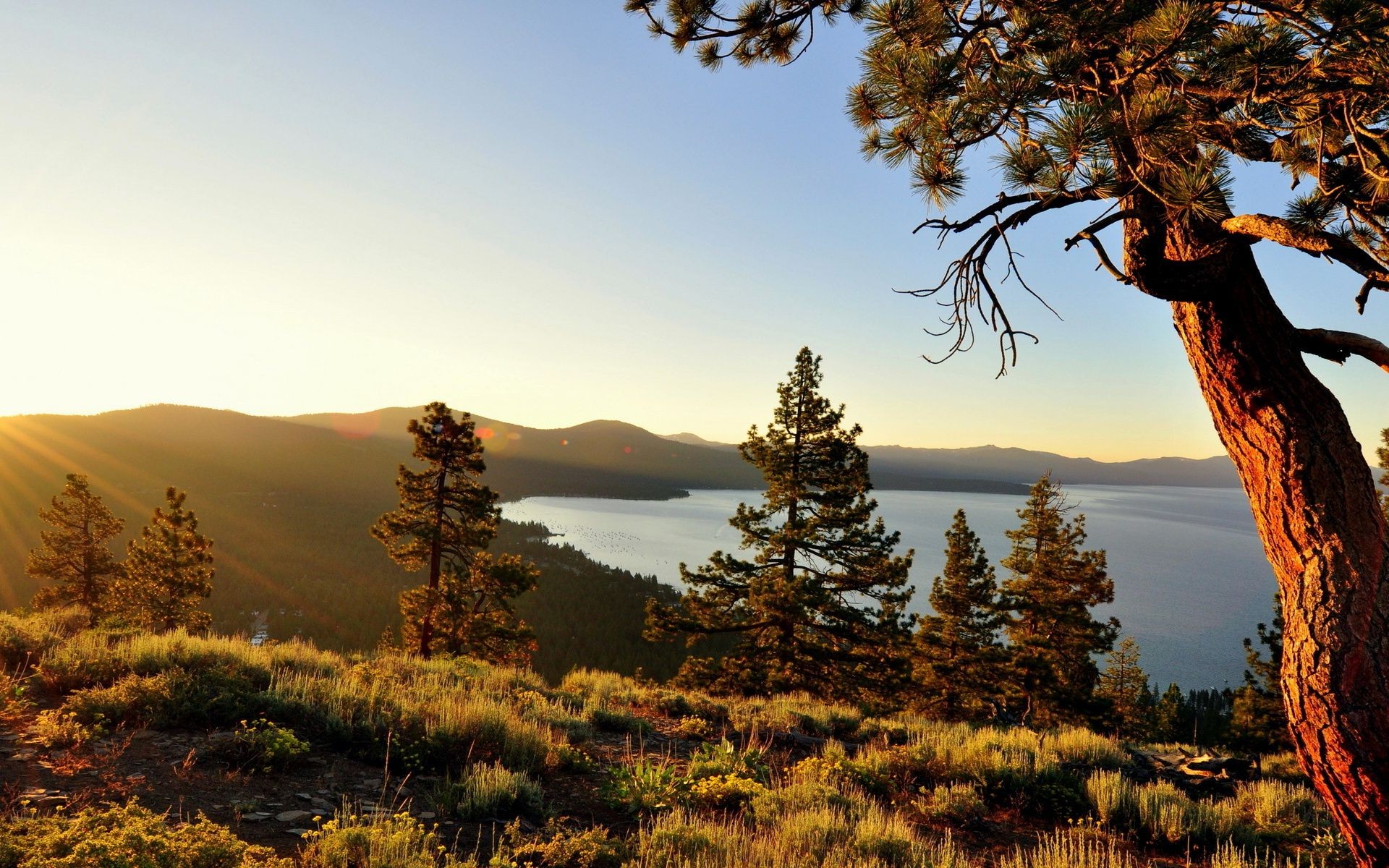 forest tree landscape outdoors nature fall wood conifer sky travel mountain scenic park evergreen