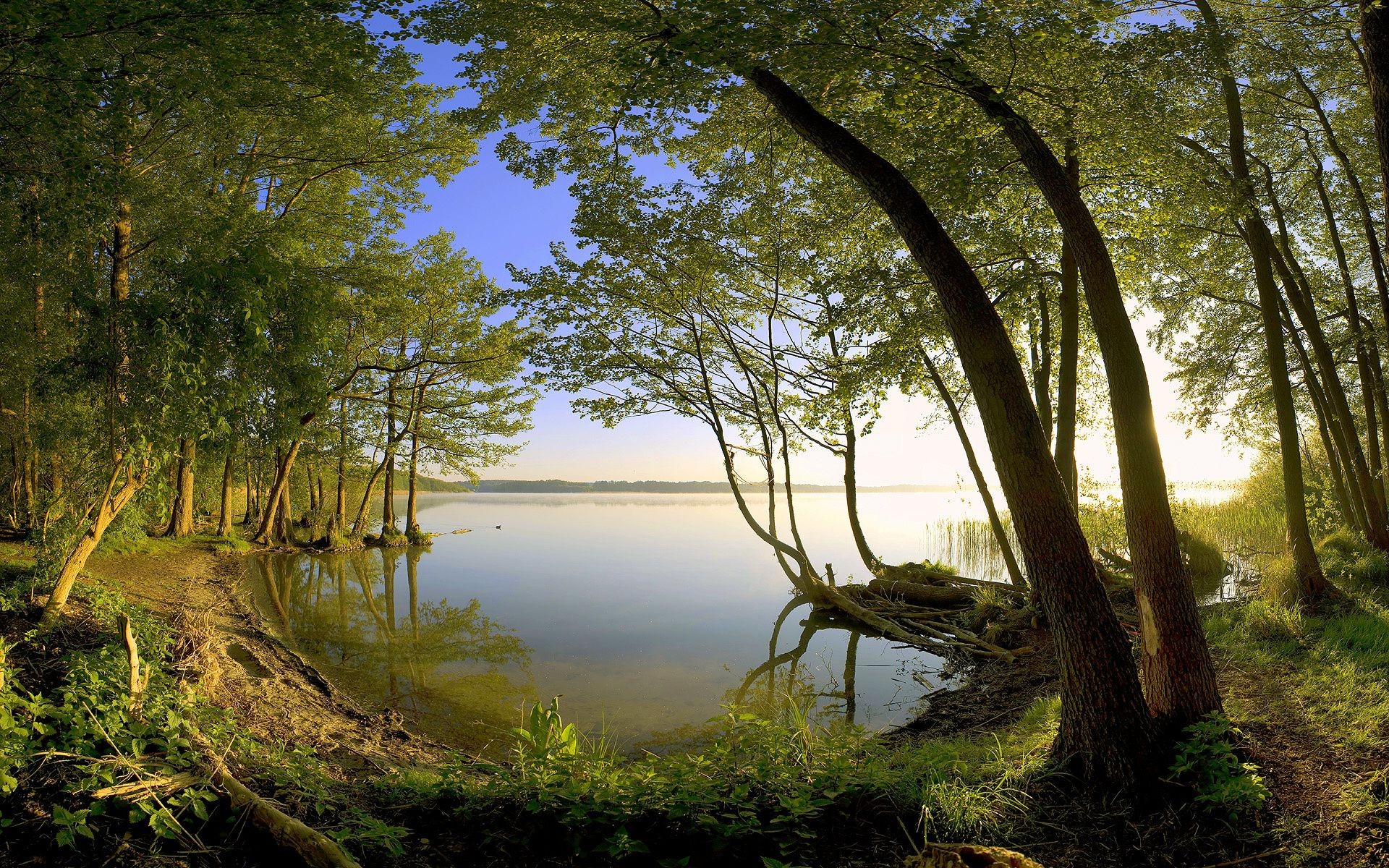 flüsse teiche und bäche teiche und bäche landschaft holz holz natur wasser blatt see park herbst dämmerung umwelt fluss reflexion landschaftlich gras licht flora sommer sonne