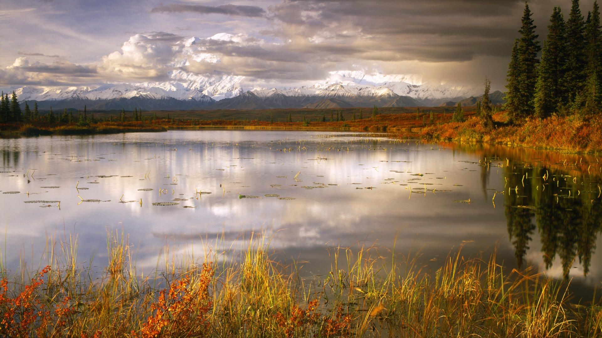 lago riflessione acqua autunno paesaggio natura alba fiume all aperto tramonto marcia cielo albero piscina paludi legno scenico foglia bel tempo