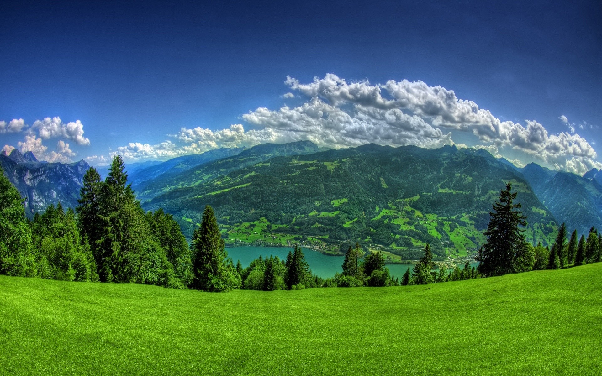 spring grass landscape nature hayfield tree wood mountain sky outdoors hill summer fair weather grassland rural scenic countryside field pasture cloud