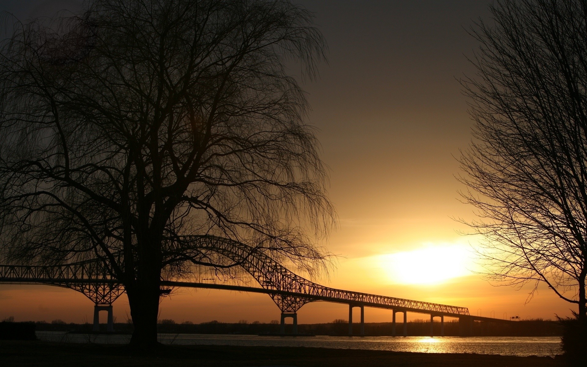 paesaggio alba tramonto inverno acqua albero sole paesaggio nebbia silhouette lago sera nebbia neve autunno illuminato natura crepuscolo luce