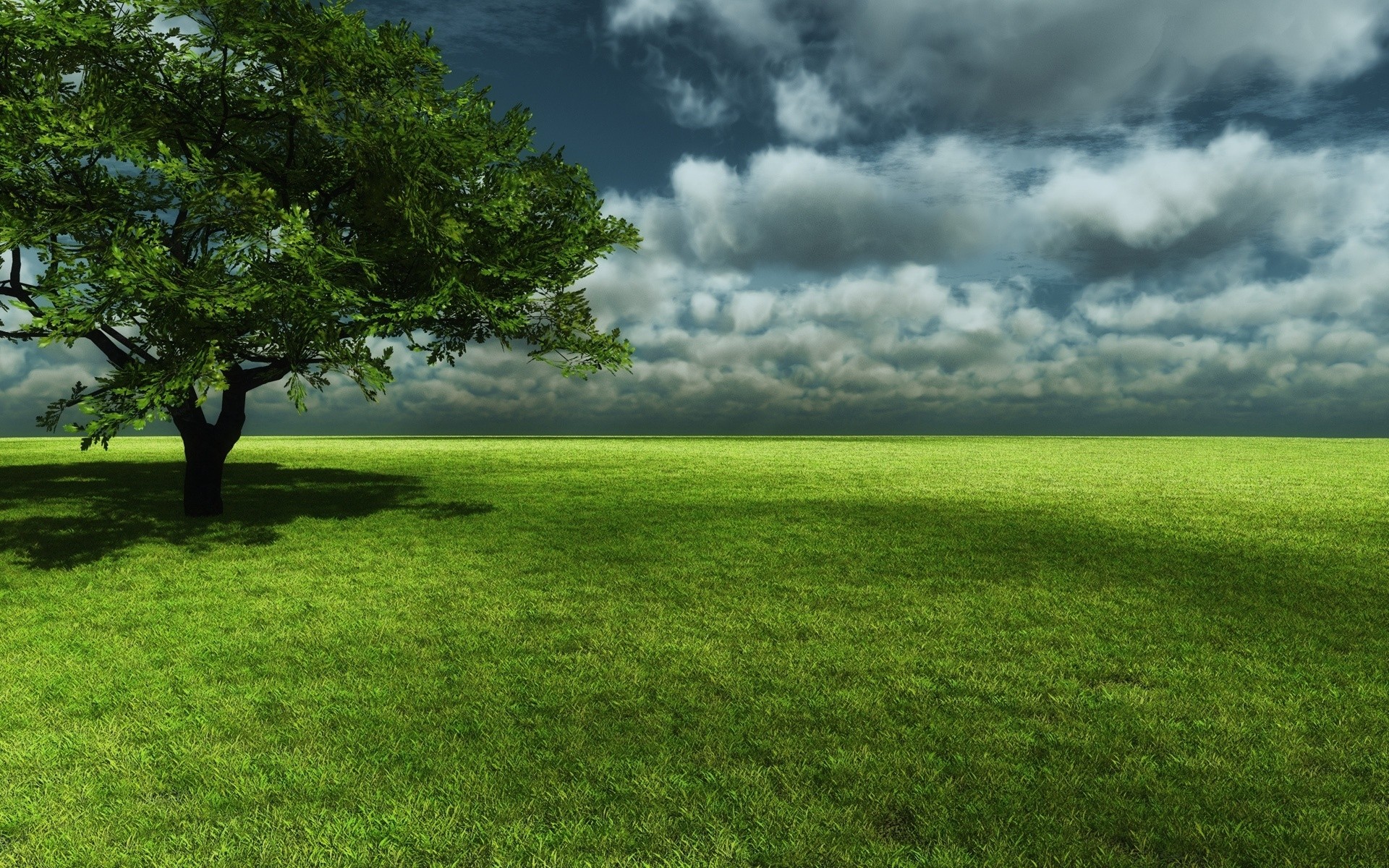 spring landscape grass tree nature hayfield field sun countryside rural summer dawn sky outdoors fair weather lawn leaf