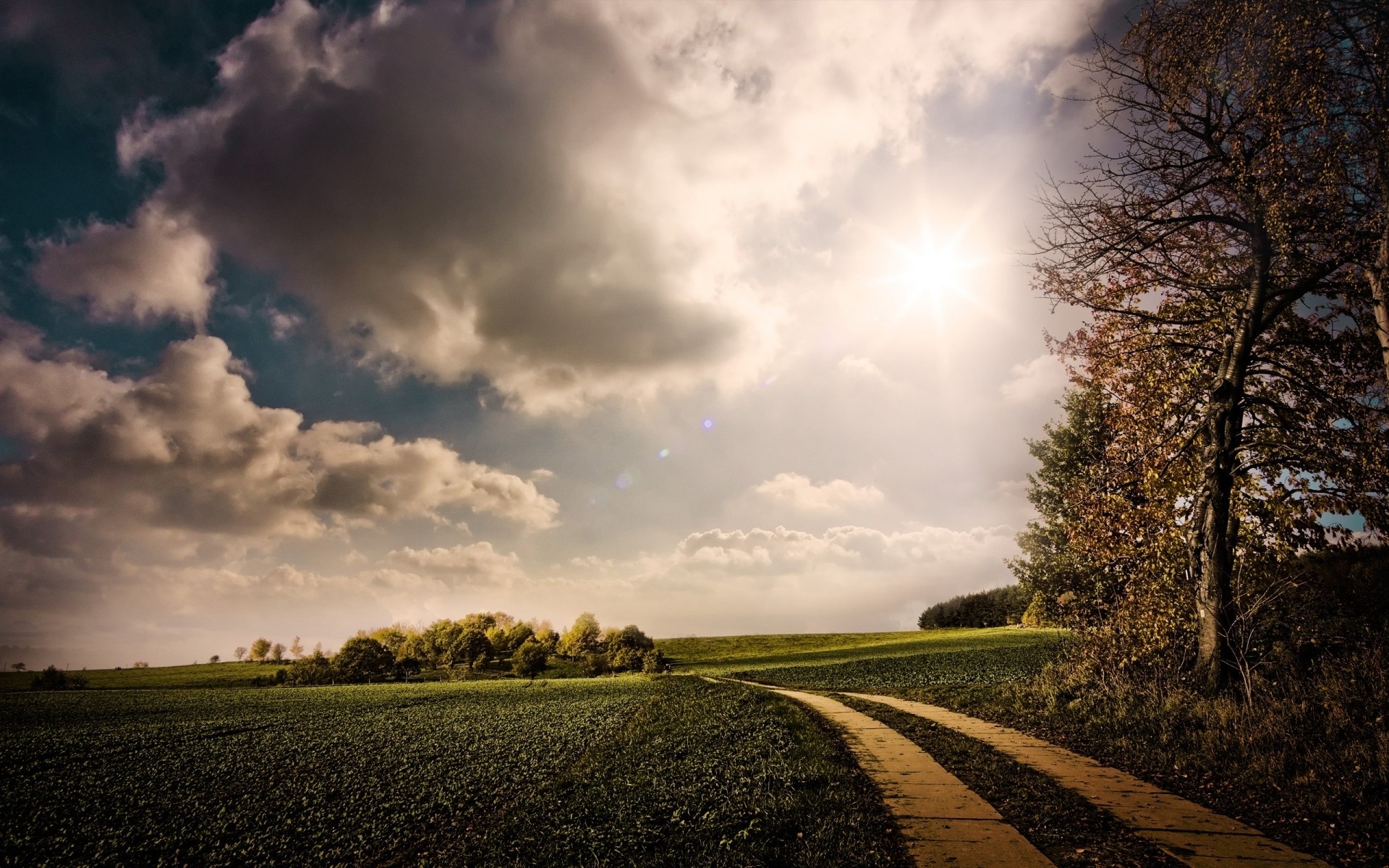 autumn landscape sunset sky nature dawn tree sun fall rural countryside outdoors light field fair weather dark grass road storm evening