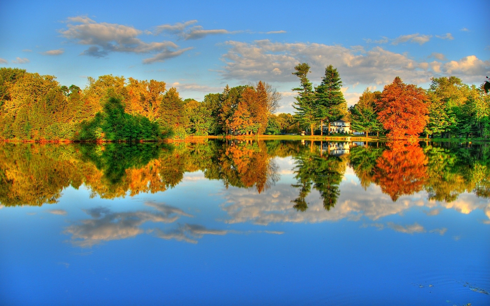 autumn tree nature fall landscape sky outdoors sunset scenic sun dawn evening wood season fair weather leaf daylight lake travel color