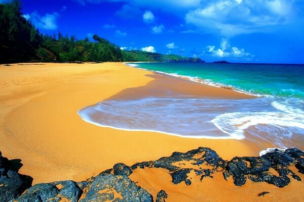 Plage de sable au bord de l océan bleu