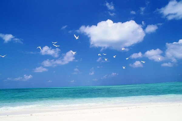 Paisaje oceánico con cielo azul