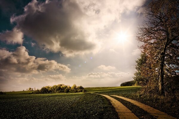 Naturlandschaft Lichtung und Himmel