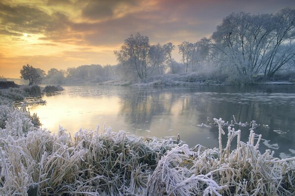 Dawn in a snowy forest with a river